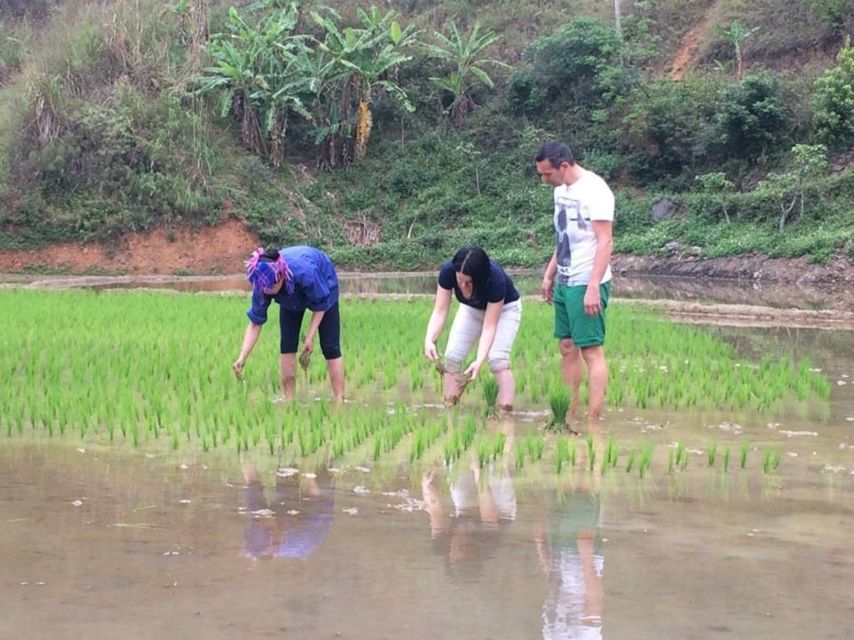 Sa Pa: 6-Hours Muong Hoa Valley Trek with Local Ethnic guide - Starting from Sa Pa and reaching Y Linh Ho