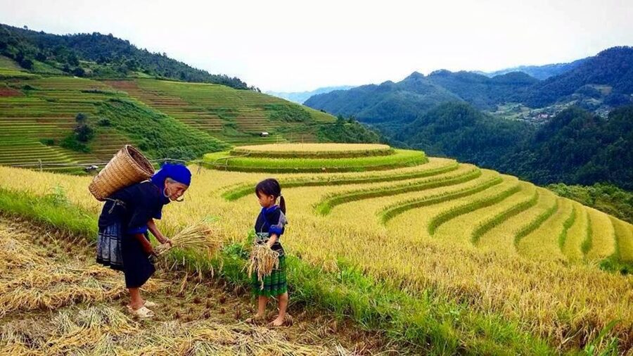 Sa Pa: 6-Hours Muong Hoa Valley Trek with Local Ethnic guide - Local lunch, extra cost, and the sales question