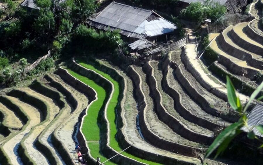 Sa Pa: 6-Hours Muong Hoa Valley Trek with Local Ethnic guide - The physical challenge: 10 kilometers downhill and uneven
