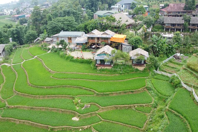 Sa Pa Full Day Trekking Tour - Starting at 8:00 from Sapa