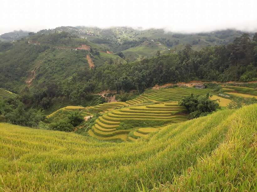 Sa Pa: Muong Hoa Valley Trek and Local Ethnic Villages - Key points to know before you go