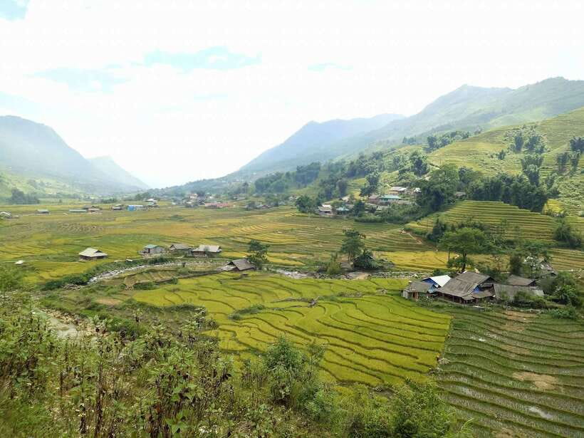 Sa Pa: Muong Hoa Valley Trek and Local Ethnic Villages - The local helper question