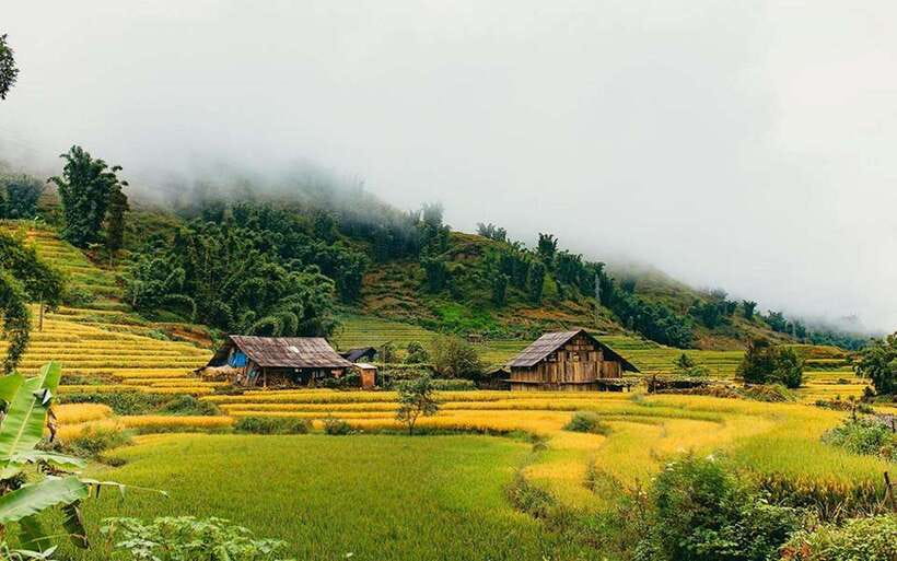 Sa Pa: Muong Hoa Valley Trek and Local Ethnic Villages - Bamboo forest and Giang Ta Chai