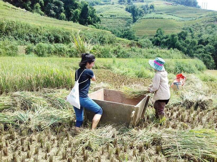 Sa Pa: Muong Hoa Valley Trek and Local Ethnic Villages - Starting in Sa Pa and entering Muong Hoa Valley