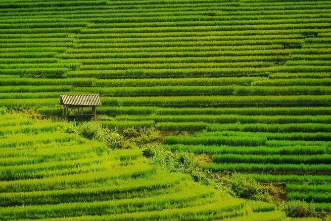 Sa Pa Trekking 2 Days 3 Nights Homestay by Night Train - Night train from Hanoi to Lao Cai