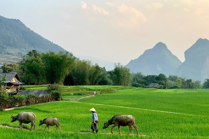 Sa Pa Trekking 2 Days 3 Nights Homestay by Night Train - Morning arrival in Lao Cai and the move to Sa Pa