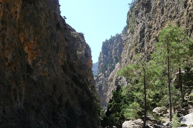 Samaria Gorge Trek: Full-Day Excursion from Rethymno with Guide - Who should book this trek?