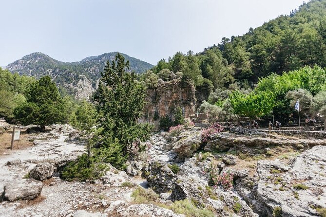 Samaria Gorge Trek Full Day Tour from Georgioupoli with Guide - The boat to Sfakia adds a calm final chapter