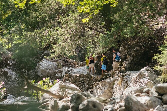 Samaria Gorge Trek Full Day Tour from Georgioupoli with Guide - Pickup from Georgioupoli and the early drive to Omalos