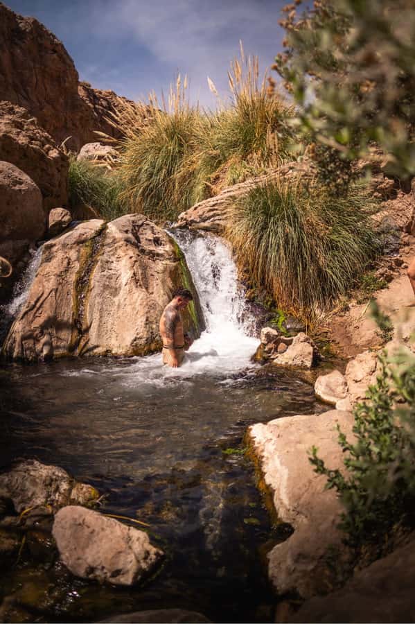 San Pedro de Atacama: Canyon Swimming Pools Trekking Trip - The desert plants and canyon scenery