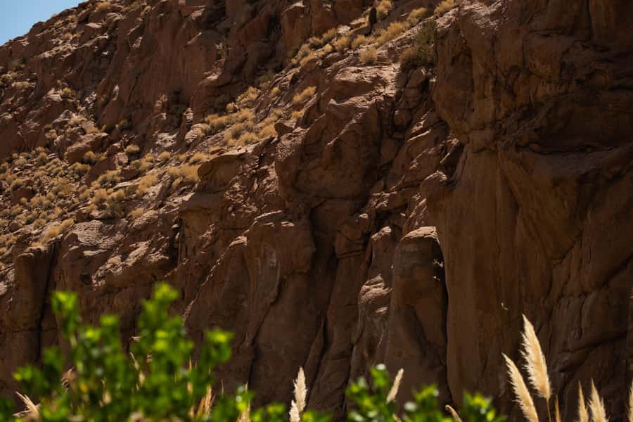 San Pedro de Atacama: Canyon Swimming Pools Trekking Trip - Who should book this outing