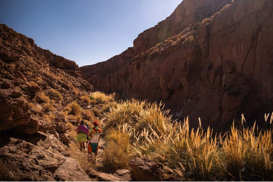 San Pedro de Atacama: Canyon Swimming Pools Trekking Trip - What to pack for the six-hour day
