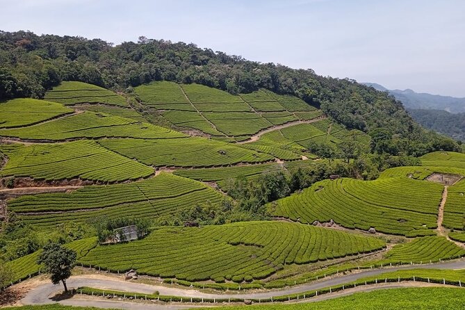 Sandal Wood & Sight Seeing Tour (Munnar Valley Trekking & Tours) - Nayamakad Waterfall begins the outing