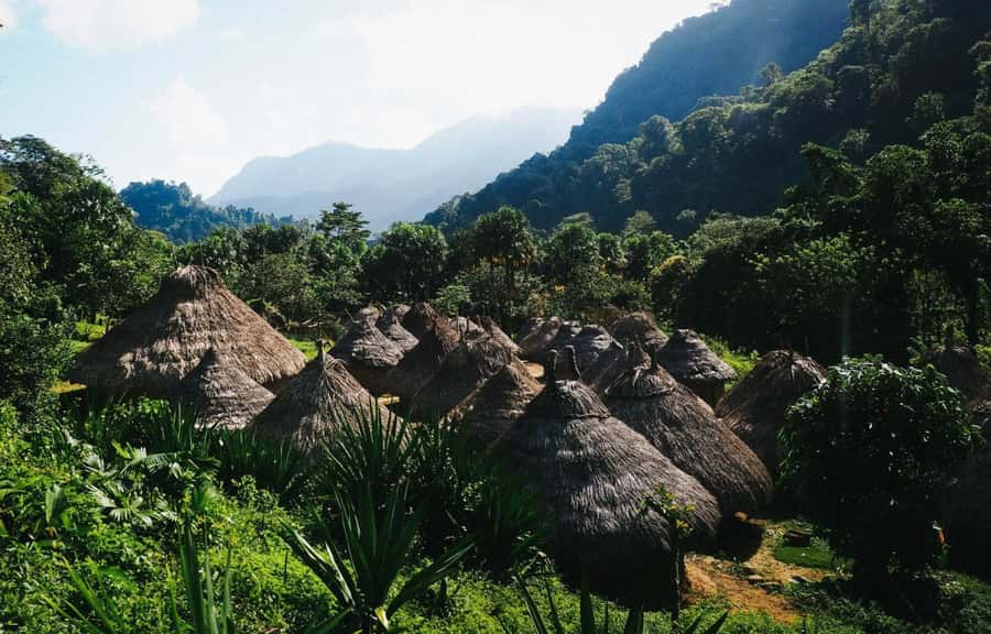 Santa Marta: Multi-Day Trek to The Lost City - Is $713 good value?