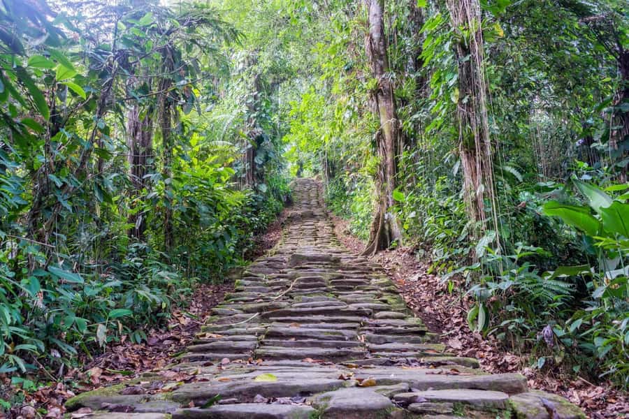 Santa Marta: Multi-Day Trek to The Lost City - Day one: El Mamey, fruit stops, and the first camp