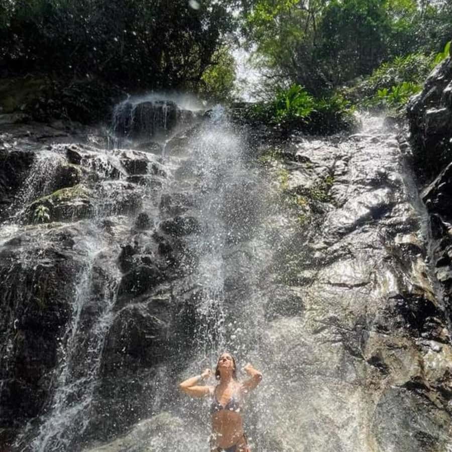 Santa Marta: Trekking in Minca Complete Waterfall Circuit - Quick take: what makes this Minca trek worthwhile