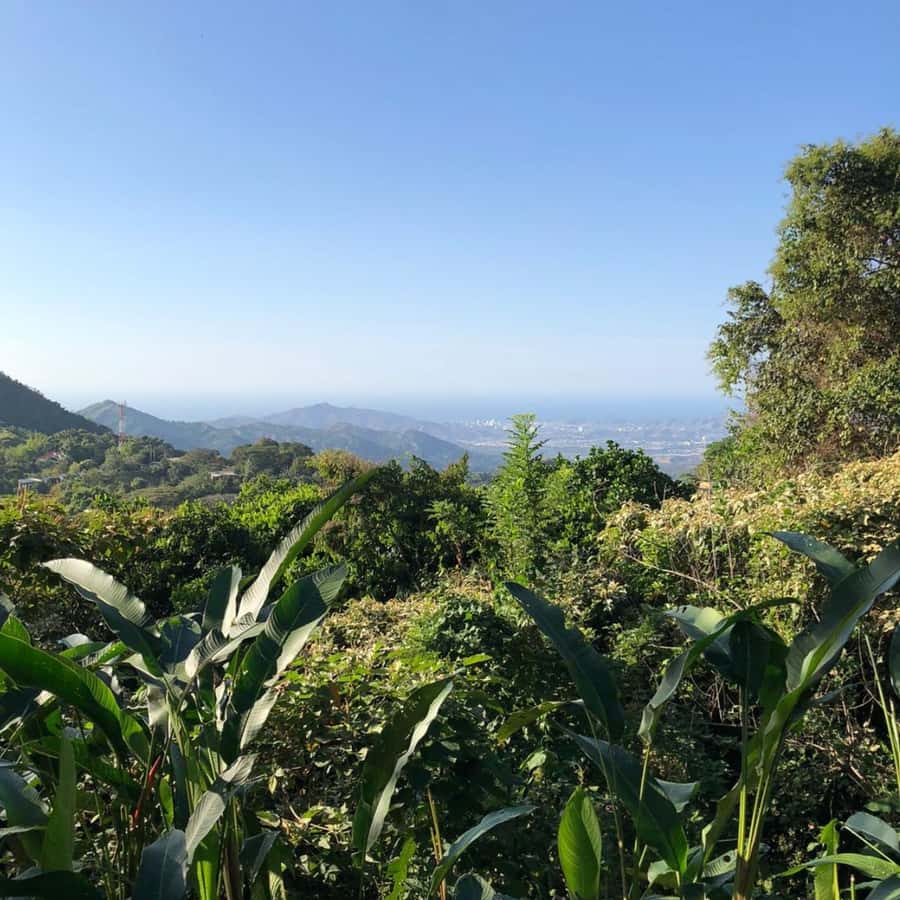 Santa Marta: Trekking in Minca Complete Waterfall Circuit - Marinka Waterfalls and the longest stop