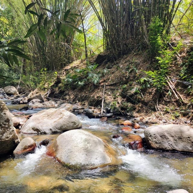 Santa Marta: Trekking in Minca Complete Waterfall Circuit - The guides can shape the whole experience