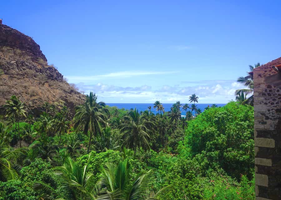Santiago: Calabaceira Valley Trek & Visit to Cidade Velha - A local rum stop among the sugar cane