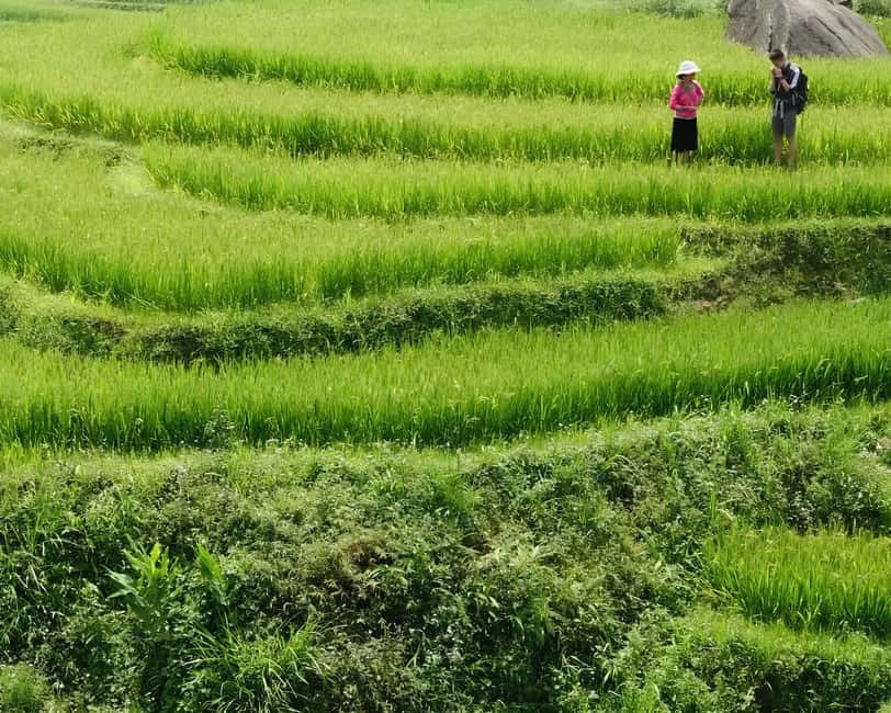 Sapa 1 Day Long Trek: Trek to Hau Thao and Sa Seng Villages - A family lunch that breaks up the long walk