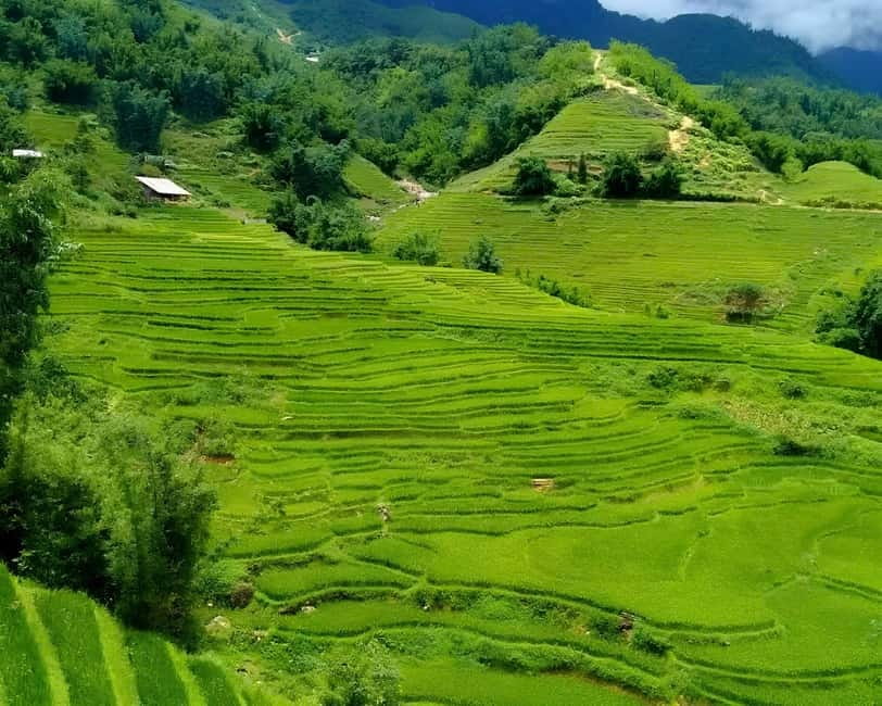 Sapa 1 Day Long Trek: Trek to Hau Thao and Sa Seng Villages - What the $24 price really gives you