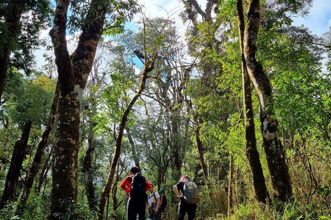 Sapa 1 day trek with local guide to the village by Comlam - Starting at 9am in Sapa
