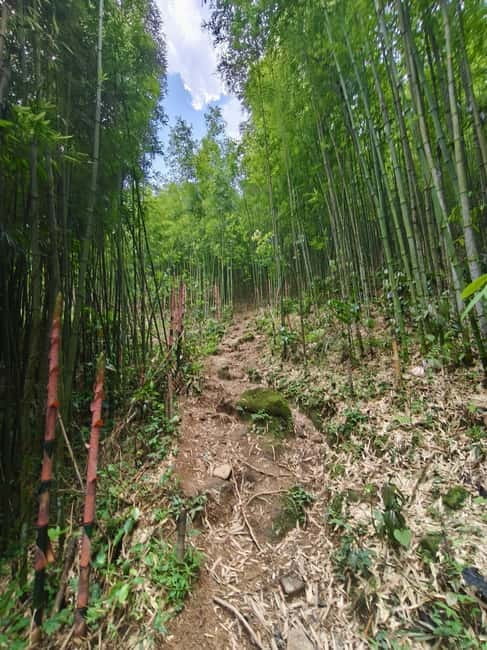 Sapa: 2-Day Local Guided Valley Trek with Night Homestay - Why this Sapa trek feels different