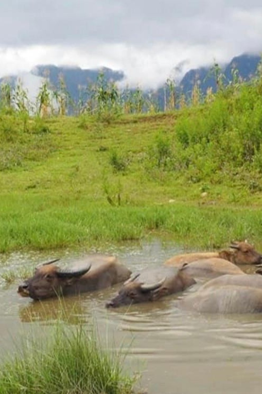 SAPA 2 Day trekking & 1 night Homestay with LOCAL PEOPLE - Overnight in Hau Thao with a local family