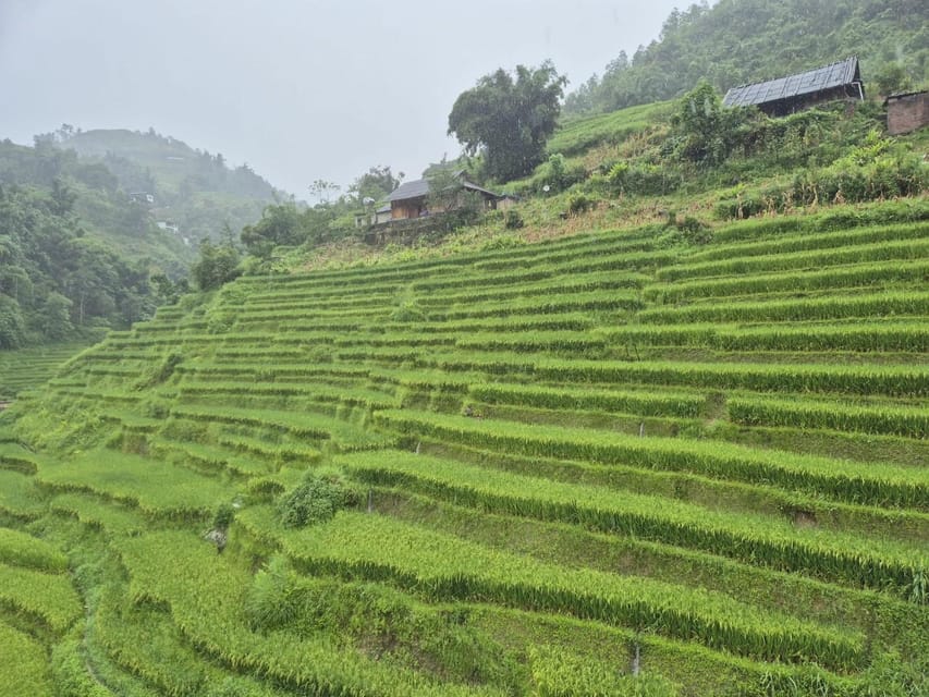 SAPA 2 Day trekking & 1 night Homestay with LOCAL PEOPLE - Day two: Giang Ta Chai, bamboo forest, and Ta Van