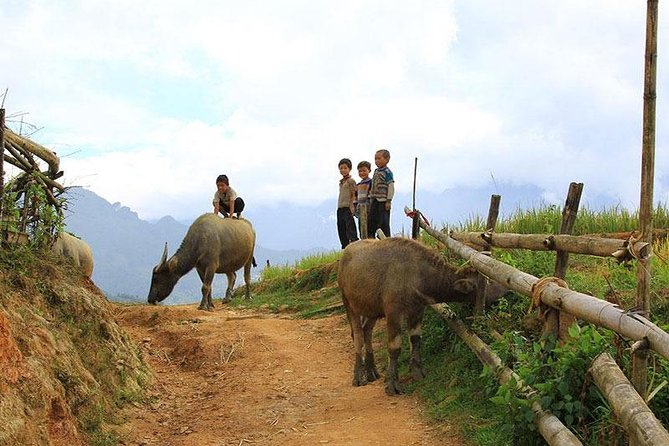 Sapa 2 days 1 night trekking Lao Chai Ta Van - Fansipan mountain by cable car - Why this Sapa trip works well in three days