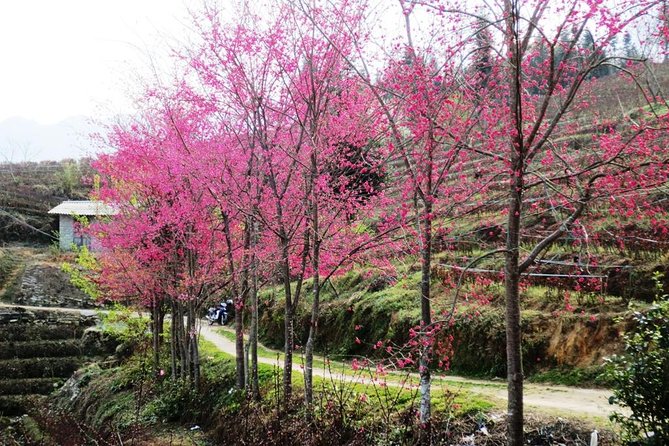 Sapa 2D1N Trekking to Giang Ta Chai Village from Hanoi by Bus - The 6:00 bus from Hanoi to Sapa
