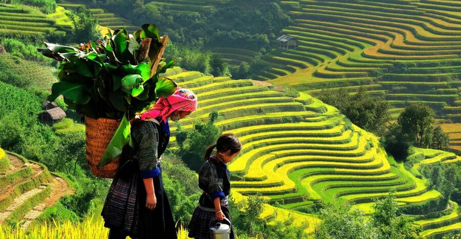 Sapa: 3-Day, 3-Night Trek and Hotel with Overnight Train - Key points to know before booking