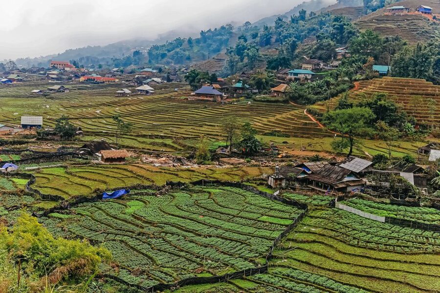 Sapa: 3-Day, 3-Night Trek and Hotel with Overnight Train - Why this Sapa trip works