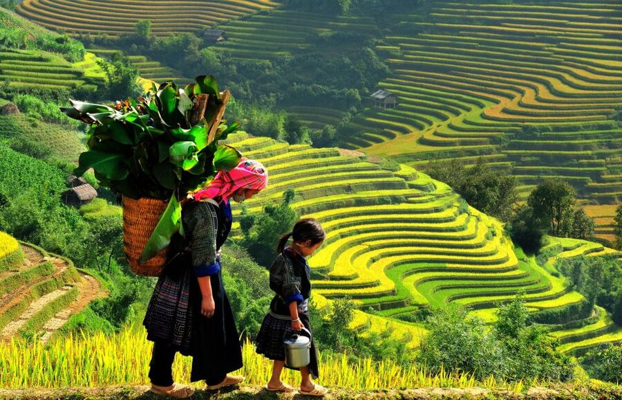 Sapa: 3-Day, 3-Night Trek and Hotel with Overnight Train - Day 1: Sin Chai and the first look at Hmong life