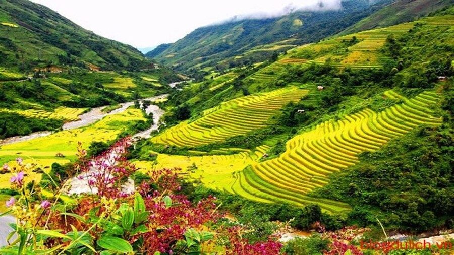 Sapa: 3-Day, 3-Night Trek and Hotel with Overnight Train - Day 3: Waterfalls, bamboo forest, and the return to Sapa