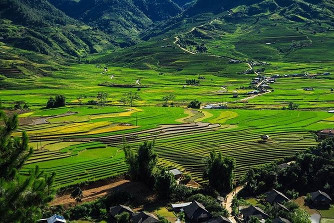 Sapa 3 Days 2 Nights Trekking Tour (1 Night In Ta Van Village, 1 Night In Hotel) - Ta Van Village and the bungalow night