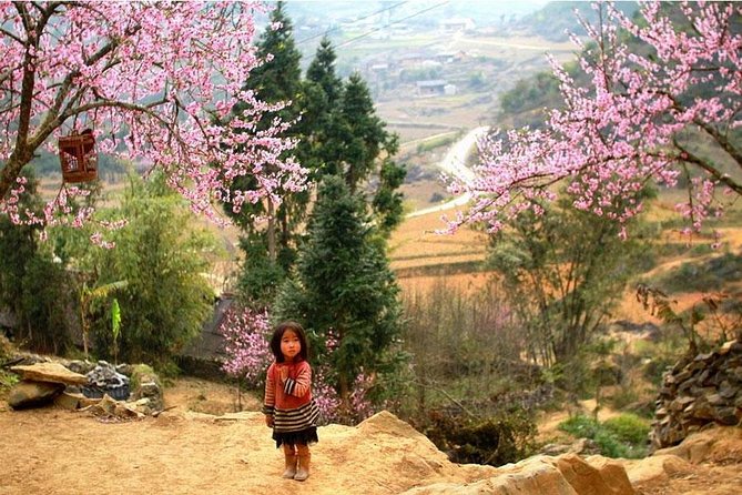 Sapa 3 Days 2 Nights Trekking Tour (1 Night In Ta Van Village, 1 Night In Hotel) - Food, rooms, and what the price covers