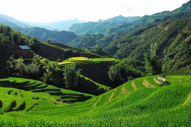 Sapa 3 Days 2 Nights Trekking Tour From Hanoi (2 Nights in Hotel) - The Ta Van walk follows Muong Hoa Stream