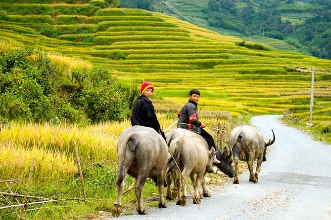 Sapa 3 Days 2 Nights Trekking Tour From Hanoi (2 Nights in Hotel) - Food, rooms, and what to pack