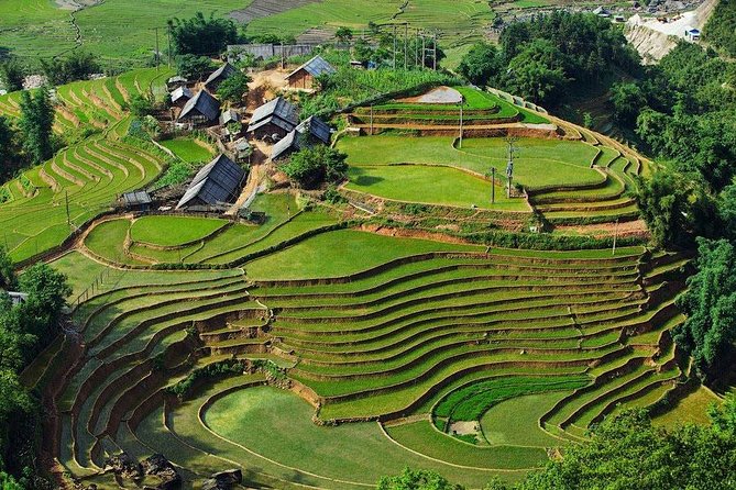 Sapa 3 Days 2 Nights Trekking Tour From Hanoi (2 Nights in Hotel) - Who should book this Sapa tour?