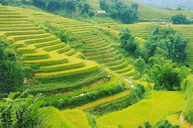 Sapa 3 Days Trekking Tour (1 Night in Bungalow, 1 Night In Hotel) - Day three: Giang Ta Chai and the return to Hanoi