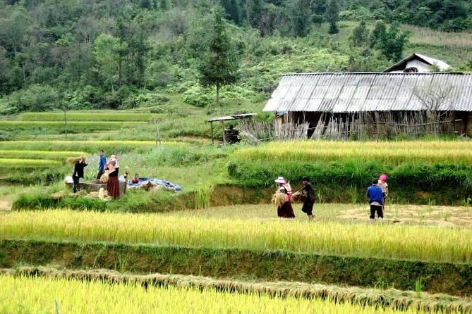 Sapa 3 Days Trekking Tour By Bus from Hanoi (2 Nights in Hotel) - Day three: Ta Phin and two local cultures in one valley