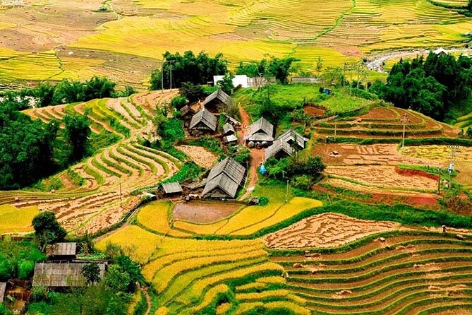 Sapa 3 Days Trekking Tour ( Overnight Train + Homestay + Hotel ) - Morning arrival and the move into Sapa