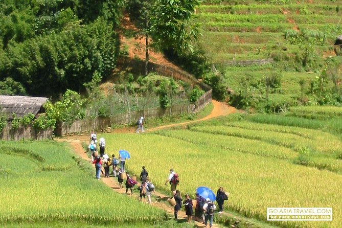 Sapa - Bac Ha Trek Tour - Night Train & Bus & Homestay overnight - The overnight train from Hanoi to Lao Cai