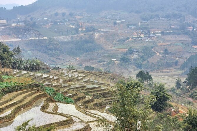 Sapa - Bac Ha Trek Tour - Night Train & Bus & Homestay overnight - Giang Ta Chai and the bamboo forest