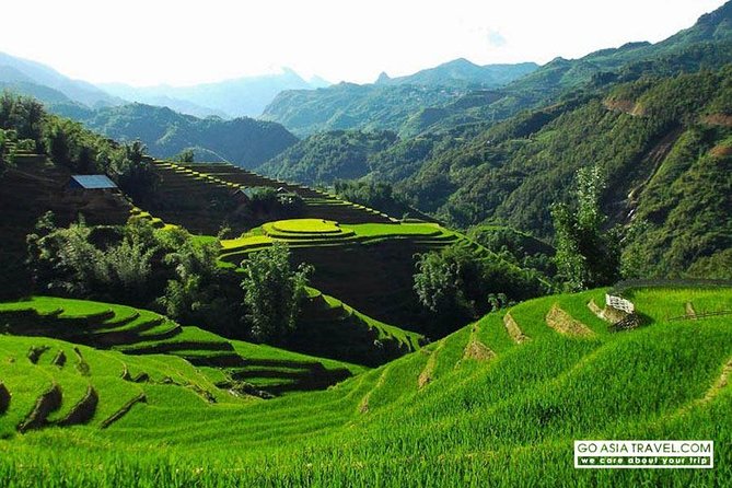 Sapa - Bac Ha Trek Tour - Night Train & Bus & Homestay overnight - Bac Ha Sunday Market and Hoang A Tuong’s Castle