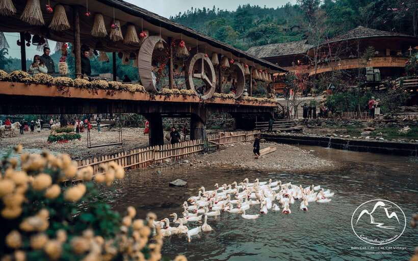 Sapa Cat Cat Village And Y Linh Ho Private Trekking Tour - Key points to know before you go