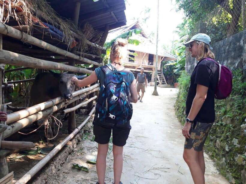 Sapa Cat Cat Village And Y Linh Ho Private Trekking Tour - What the $40 price includes, and what it does not