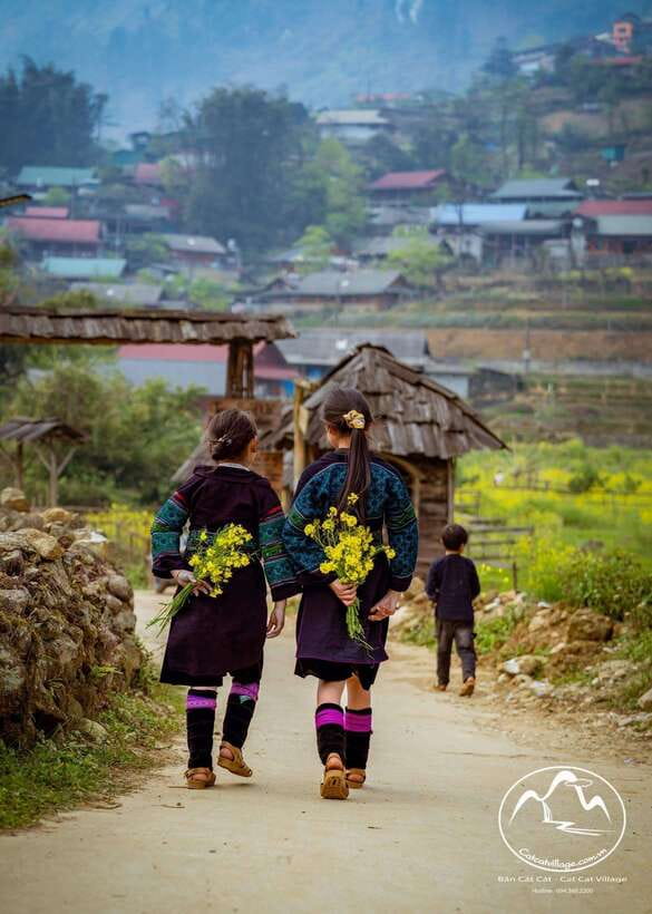 Sapa Cat Cat Village And Y Linh Ho Private Trekking Tour - Should you book the Cat Cat and Y Linh Ho trek?