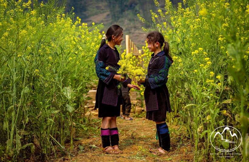 Sapa Cat Cat Village And Y Linh Ho Private Trekking Tour - Moving from village paths to Y Linh Ho rice fields